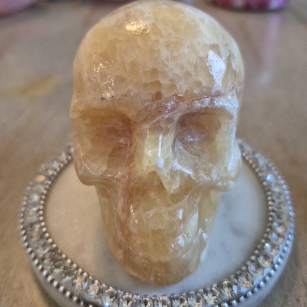 Natural Jasper Carved Crystal Skull #2 New - Picture 7 of 9